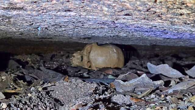 Ratanabá: descobertas monumentais e expedições de ponta revelam os mistérios de uma civilização ancestral na Amazônia